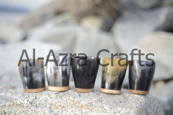Drinking Horn Shot Cups