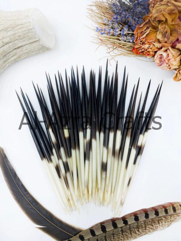 Horn Quill Needles