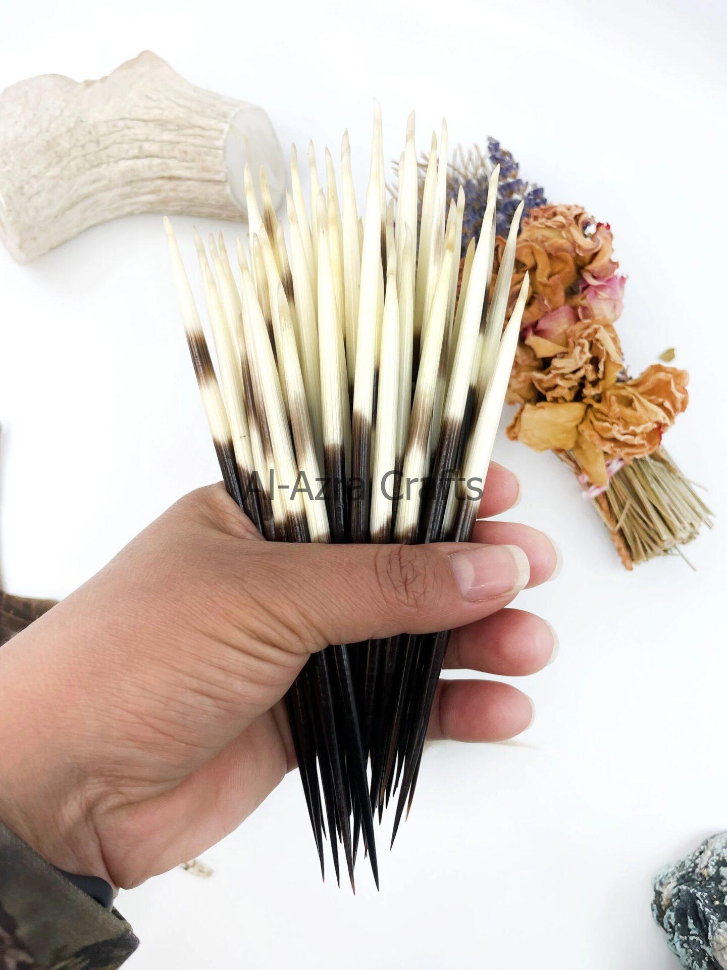 Horn Quill Needles - Image 2